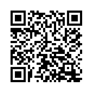 QR Code for Conference Programme